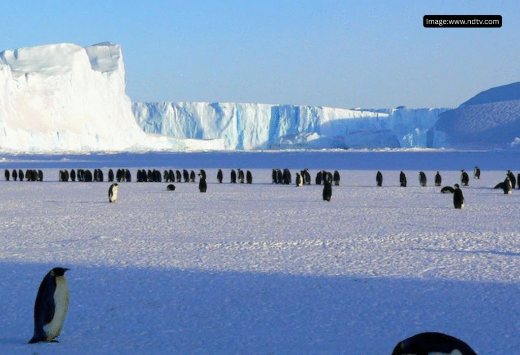 Image Source: NDTV (Used for representation purposes only)
