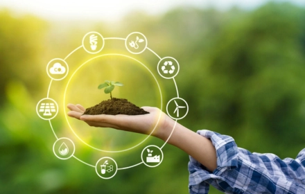 Inbriefly.in image for sustainable living ideas